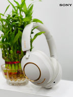 SONY WH-1000XM8
