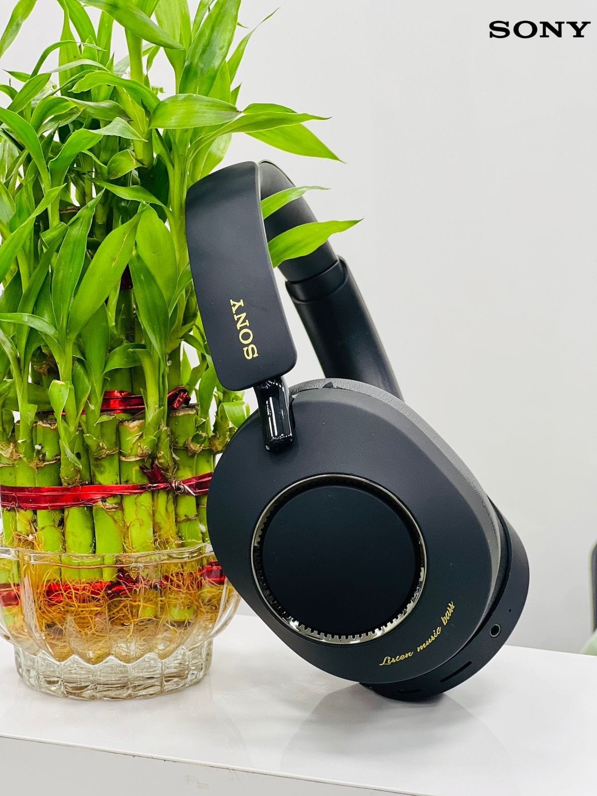 SONY WH-1000XM8